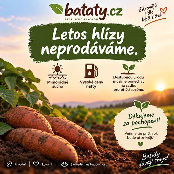 Süßkartoffeln CZ